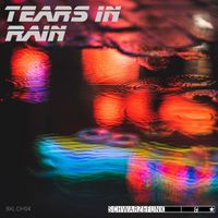 Schwarz & Funk - Tears in Rain