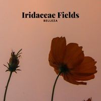Iridaceae Fields - Belleza