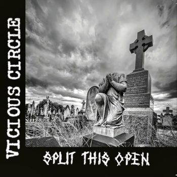 Vicious Circle - Split This Open