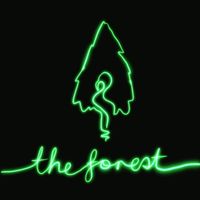 The Polly Johnson Set - The Forest