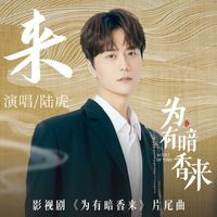 陸虎 - 來 (影視劇《為有暗香來》片尾曲)
