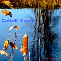 Kitt Chapman - Cattail Marsh