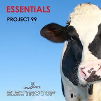 Project 99 - Essentials