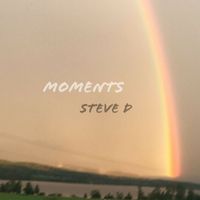 Steve D - Moments