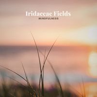Iridaceae Fields - Mindfulness