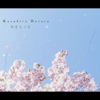 Kazuhiro Hotaru - Relic