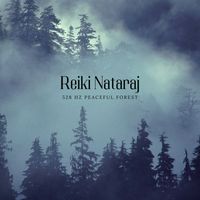 Reiki Nataraj - 528 Hz Peaceful Forest
