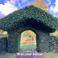 Alain Kalfon - Welcome Home