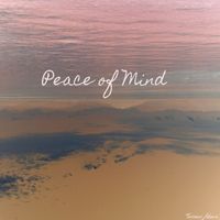 Terrence Adams - Peace of Mind