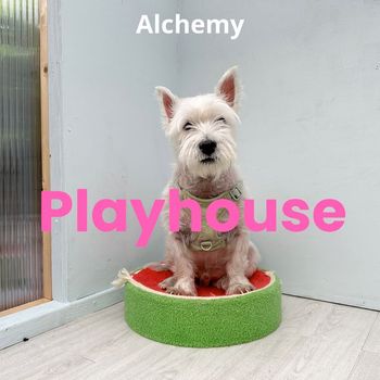 Alchemy - Playhouse