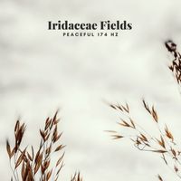 Iridaceae Fields - Peaceful 174 Hz