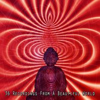 Meditation Spa - 36 Recordings From A Beautiful World
