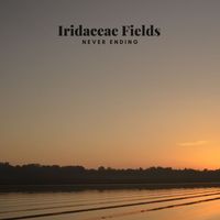 Iridaceae Fields - Never Ending