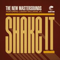 The New Mastersounds - Shake It