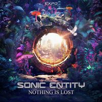 Sonic Entity - Nothing Is Lost