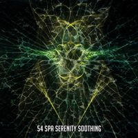 Rest & Relax Nature Sounds Artists - 54 Spa Serenity Soothing