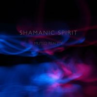 Muted Reality - Shamanic Spirit