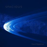 David Ripperton - Spacious