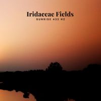 Iridaceae Fields - Sunrise 432 Hz