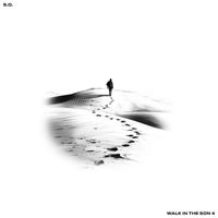 S.O. - Walk In The Son 4