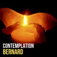 Bernard - Contemplation