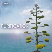 Calma - Purification