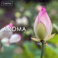 Calma - Aroma