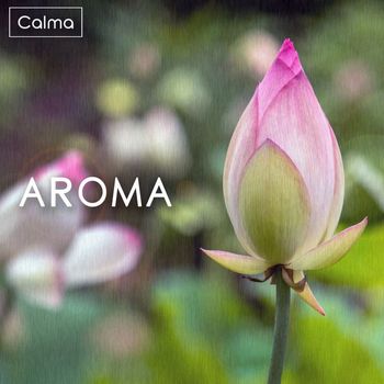 Calma - Aroma
