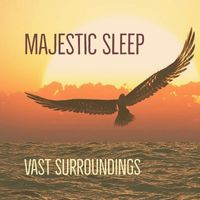 Majestic Sleep - Vast Surroundings