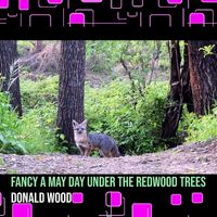 Donald Wood - Fancy a May Day Under the Redwood Trees