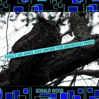 Donald Wood - Fancy an April Day Under the Redwood Trees