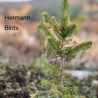 Hermann - Birds