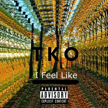 TKO - I Feel Like (Explicit)