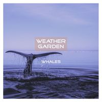 Weather Garden - Whales
