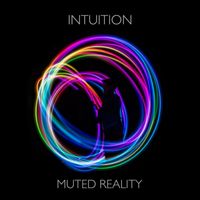 Muted Reality - Intuition