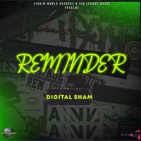 Digital Sham - Reminder