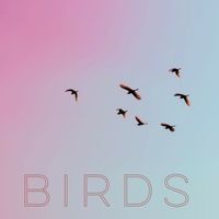 Four Winds - Birds