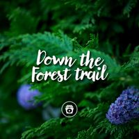 Deep Sleep - Down The Forest Trail