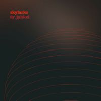 Skylarks - dr. jyhkel