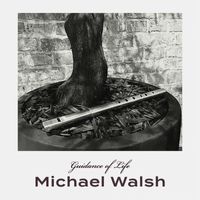 Michael Walsh - Guidance of Life