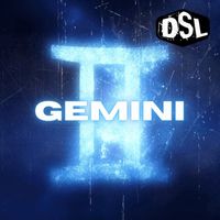 DSL - Gemini