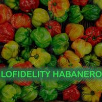 Lofidelity Habanero - Hot Hot Stuff