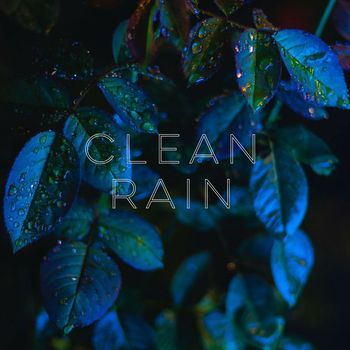 Four Winds - Clean Rain