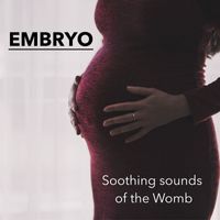 Embryo - Soothing sounds of the womb