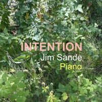 Jim Sande - Intention