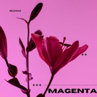 Levin - Magenta