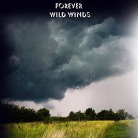 Forever - Wild Winds