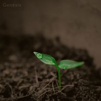 Mindscape - Genesis