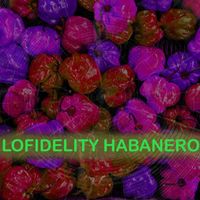 Lofidelity Habanero - Chili is hot