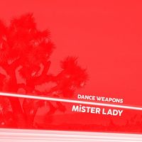 Mister Lady - Dance Weapons